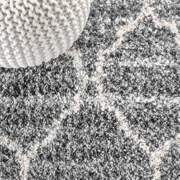 Susa Ogee Moroccan Trellis Shag Area Rug